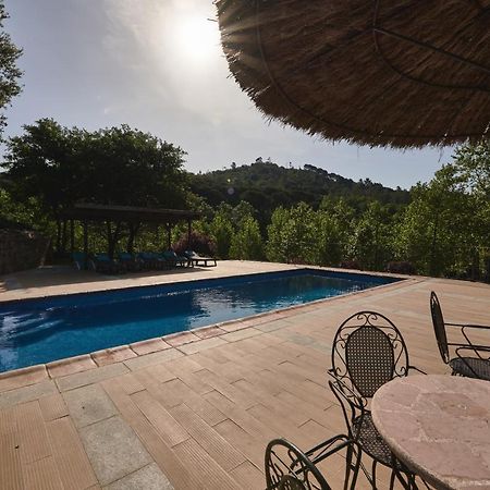 Masia Rural Can Salarichs Riudarenes Bagian luar foto